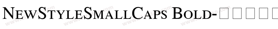 NewStyleSmallCaps Bold字体转换